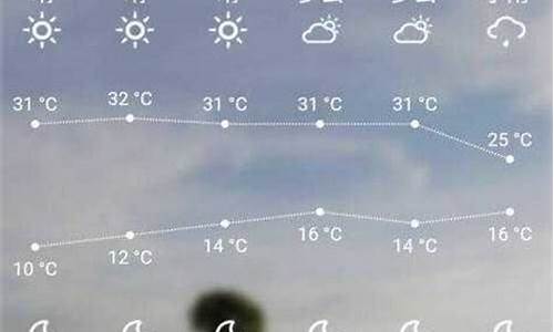 叶城天气预报15天_叶城天气预报15天30天