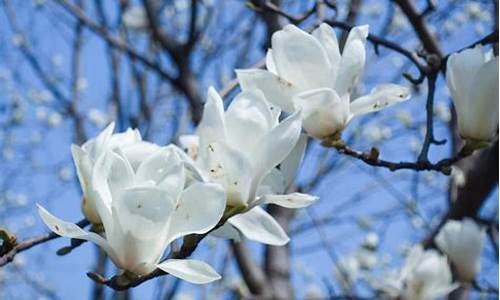 厦门3月天气_厦门3月天气预报